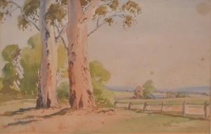 GRAY Alistair Cameron 1898-1972,EUCALYPTS,Leonard Joel AU 2017-08-10