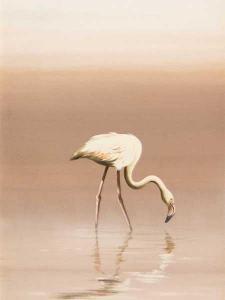 GRAY Don 1935,Flamingoes,1990,5th Avenue Auctioneers ZA 2016-05-15