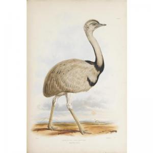 GRAY John Edward,Gleanings from the Menagerie and Aviary at Knowsle,1846,Sotheby's 2009-06-19