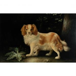 GRAY John 1880-1904,Portrait of a King Charles Spaniel,MICHAANS'S AUCTIONS US 2023-02-10