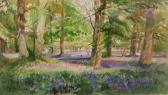 GRAY LORNA,"Bluebells at Blickling Woods",Keys GB 2011-02-11