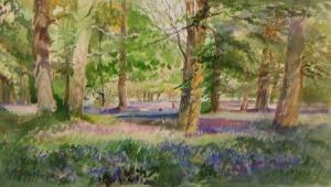 GRAY LORNA,"Bluebells at Blickling Woods",Keys GB 2011-02-11