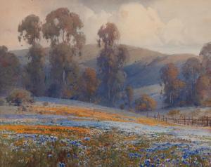 GRAY Percy 1869-1952,Wildflowers in a Clearing,1925,Bonhams GB 2024-04-23