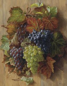 GREEN Dora 1800-1900,Red and white grapes hanging from the vine,Christie's GB 2004-08-26