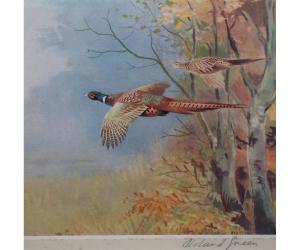 GREEN Roland 1896-1972,Pheasant in Flight,Keys GB 2014-09-05