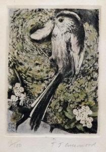 GREENWOOD T.J,A bird with a feather,Bellmans Fine Art Auctioneers GB 2019-05-01