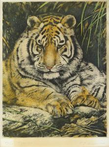 GREENWOOD T.J,Tiger Cub,Ewbank Auctions GB 2021-06-17