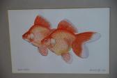 GRIFFITHS Martin,Goldfish,1980,Bonhams & Goodman AU 2008-09-28