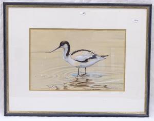 GRIFFITHS Tom 1902-1990,Study of an avocet,1982,Burstow and Hewett GB 2020-03-04