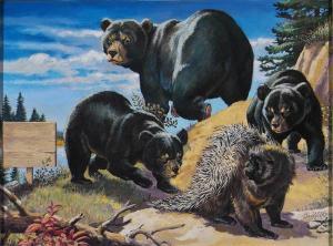 GRIFFITHS William,Bear cubs encounter a porcupine, mother walking,1960,Illustration House 2007-09-20