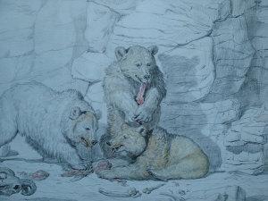 GRISET Ernest Henri,A family of bears on a crag; black crayon with tou,Rosebery's 2005-12-13