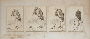 GRISET Ernest Henri 1844-1907,The birth of a stork,Woolley & Wallis GB 2023-09-05