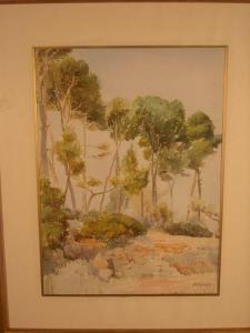 GRISOLLE 1900-1900,Les pins,Etienne de Baecque FR 2012-09-29