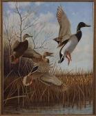 GROMME Owen J 1896-1991,Pair of Mallards and Black Duck Rising, Horicon Ma,1939,Susanin's 2021-09-21