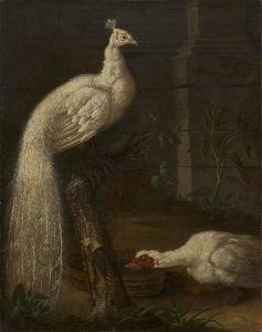 GROOTH von Johann Friedrich 1717-1801,A Goose and a White Peacock,1786,MacDougall's GB 2017-11-29