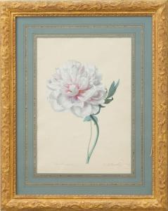 GRUBER Franz Xaver 1801-1862,PAEONIA ARBORIA,Stair Galleries US 2017-04-22