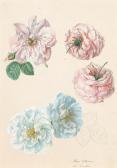 GRUBER Franz Xaver 1801-1862,"Rosa Collestris",Palais Dorotheum AT 2022-09-28