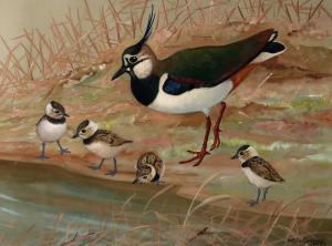 GUDGEON Ralston 1910-1984,Lapwing,Great Western GB 2024-01-17