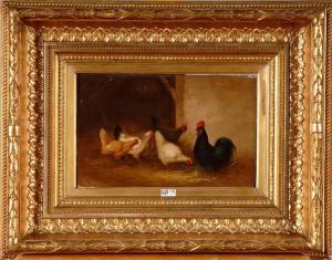 GUILLAUME JUBERT Jules,Coq et poules,VanDerKindere BE 2010-11-09