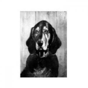 GUISE Marie 1800-1900,BLOODHOUND HEAD STUDY,William Doyle US 2003-02-11