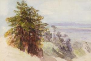 GULLY John 1819-1888,Rimu Gully,1888,Webb's NZ 2024-01-23