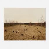GURSKY Andreas 1955,Hühner, Krefeld Chickens,1989,Los Angeles Modern Auctions US 2025-07-31