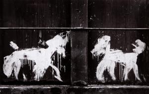 GUSTAVO Carlos,Two Peter Mayer Dogs on Dumpster, NYC,1992,Ro Gallery US 2023-07-01