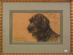 hérisson René 1857-1940,Tête de chien,Rops BE 2015-12-13
