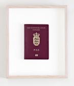 HAANING Jens 1965,Danish Passport, male born 1965, valid until 23.12,2019,Bruun Rasmussen 2023-03-28
