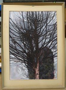 HACKNEY ARTHUR 1925-1900,Winter trees,1967,Bellmans Fine Art Auctioneers GB 2020-09-15