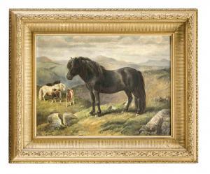 HADDEN Nellie 1885-1920,Shetlandponys in freier Wildbahn,1888,Historia Auctionata DE 2018-09-22