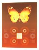 HAIDLE David 1944,Butterfly Matrix,Ro Gallery US 2014-08-20