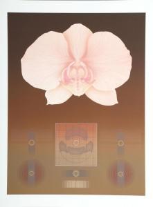 HAIDLE David 1944,Orchid Matrix II,1980,Ro Gallery US 2024-01-31