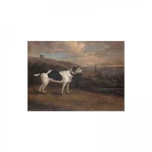HALEY Thomas 1900-1900,portrait of a dog near rawmarsh,Sotheby's GB 2003-11-19