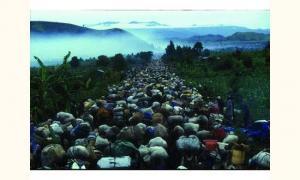 HALEY Thomas 1900-1900,Zaire, Goma, Novembre 1996, Exode massif des réfugiés Hutu,Ader FR 2006-03-19