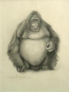 HALL Charles D 1900-1900,Orangutan,1980,Bonhams GB 2011-05-23