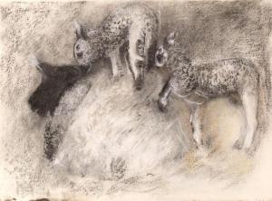 HALL Christina,ewe with lambs,Mallams GB 2018-06-25