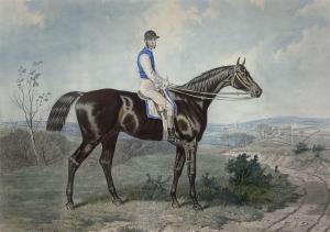 HALL Harry 1814-1882,The Colonel - Winner of the Grand National Steep,Duggleby Stephenson (of York) 2024-01-05