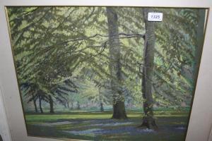HALL William Haines 1903-1977,Woodland in Spring,Lawrences of Bletchingley GB 2017-06-06
