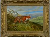 HALSTEAD Elizabeth,FOX EMERGING FROM BAMBLES IN A LANDSCAPE,Richard Winterton GB 2018-08-07