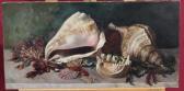 Halsted May,still life of shells and seaweed,1897,Reeman Dansie GB 2018-02-13