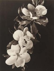 HALVORSEN FRANK G 1877-1938,untitled,Swann Galleries US 2004-10-19