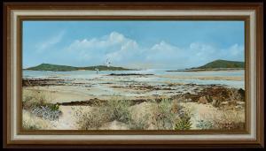 Hamilton Glass John,The Scily Isles - birds in flight over a beach,Anderson & Garland 2020-06-18