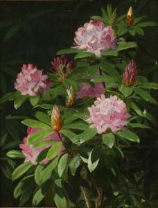 HAMMER William 1821-1889,A blooming rhododendron,Bruun Rasmussen DK 2021-09-27