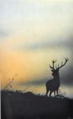 HAMMICK Jeremy 1956,‘Stag at Dawn````,Shapes Auctioneers & Valuers GB 2013-07-06
