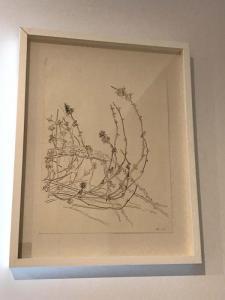 HAMMOND BRAD,Natural Grasses sketch,Mossgreen AU 2017-04-23