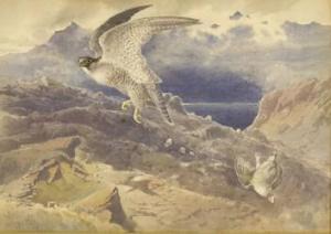 Hammond William Oxenden 1817-1903,PEREGRINE FALCON DROPPING A PTARMIGAN,1899,Sworders GB 2019-04-30