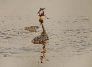 HAMPTON MICHAEL 1937,Grebes on the water,Gorringes GB 2023-01-23