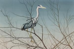 HAMPTON MICHAEL 1937,Grey heron,Canterbury Auction GB 2021-11-27