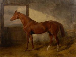 HANCOCK Charles 1795-1868,Untitled study of a racehorse,Mallams GB 2021-09-16